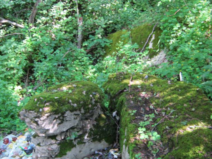  Жиличи, деревня (Янушковичский сельсовет). Узарваны дот у канцы вёскі...