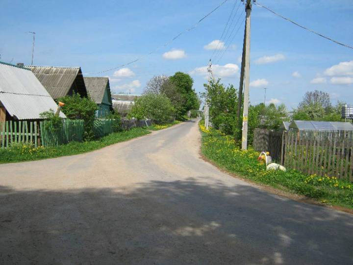  Zvarinichi, village (Hajnienski rural council). Вуліца ў Звярынічах