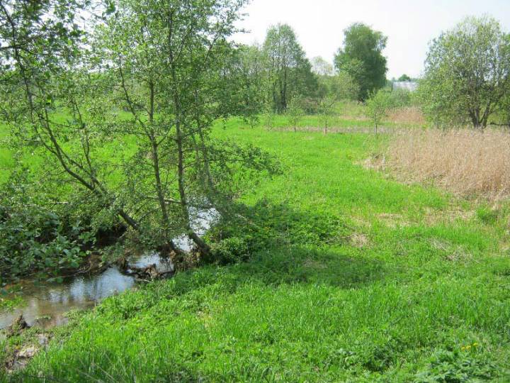  Звярынічы, вёска (Гайненскі сельсавет). Звярынічы, тут было верхняе возера