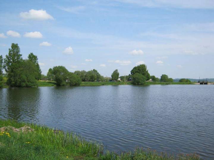  Zvarinichi, village (Hajnienski rural council). Возера ў вёсцы Звярынічы