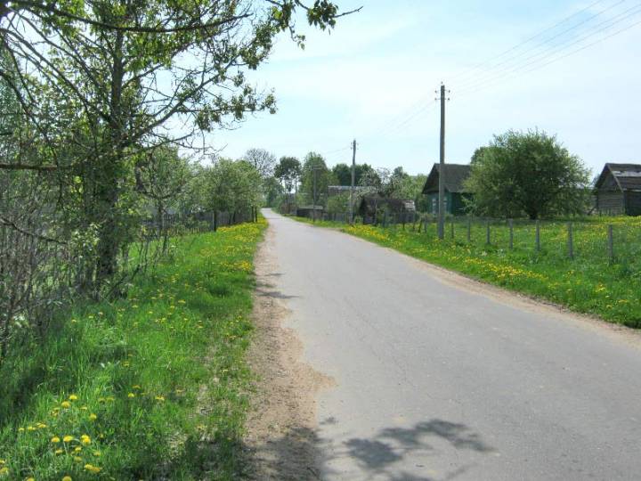  Звярынічы, вёска (Гайненскі сельсавет). Звярынічы, дарога са Слабады