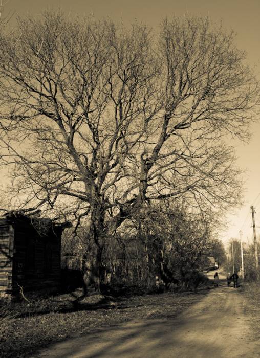  Poblin, wieś   (Biarozaŭski sielsowiet  ). 