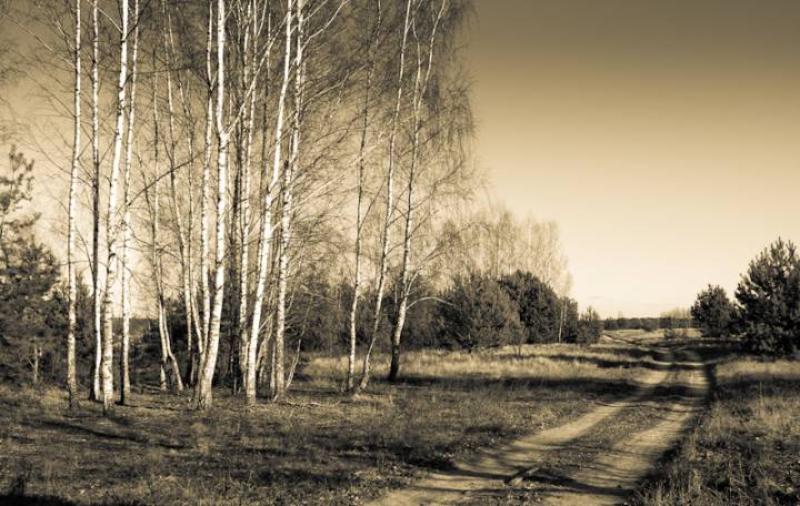  Поблин, деревня (Берёзовский сельсовет). 