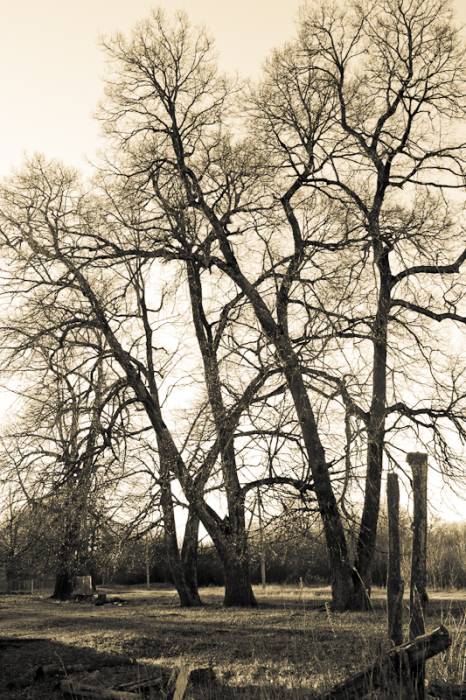  Поблін, вёска (Бярозаўскі сельсавет). 