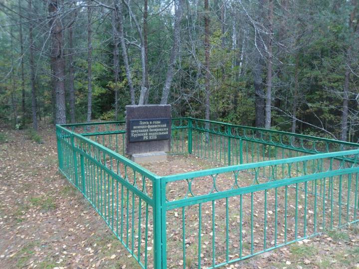  Berezka, wieś   (Uchvalski sielsowiet  ). д.Берёзка крупский район минская область