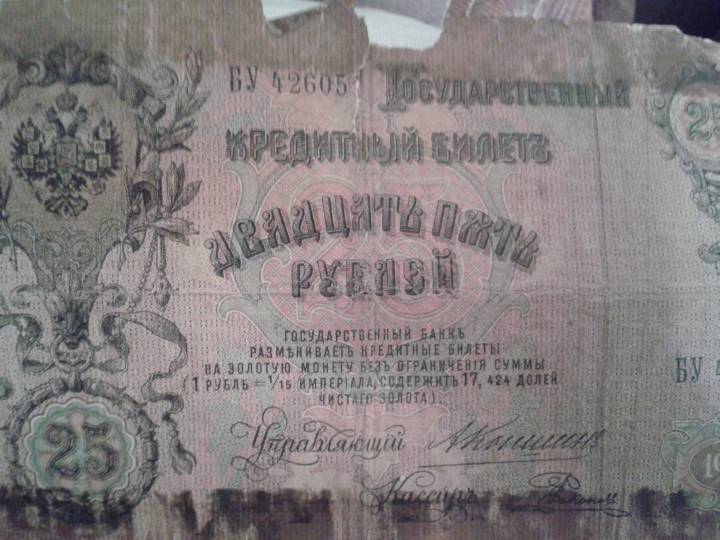  Могилицы, деревня (Вольковский сельсовет). 