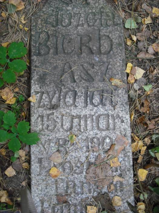  Świerżeń Nowy, village (Navasvieržanski rural council). 