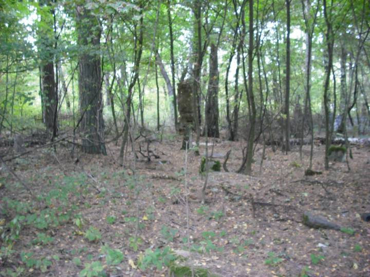  Świerżeń Nowy, village (Navasvieržanski rural council). 