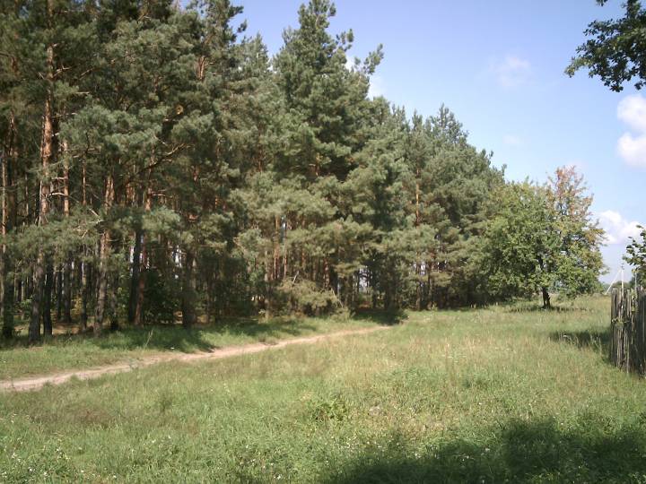  Czarnowo, folwark   (Lemieszewicze gmina wiejska  ). 