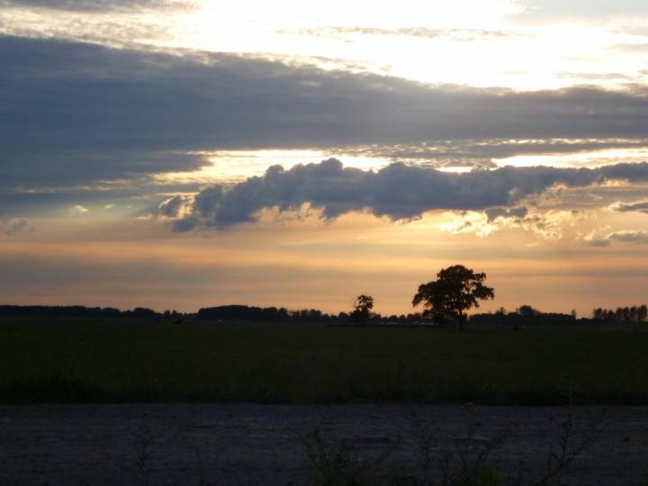  Ольшаны, агрогородок (Ольшанский сельсовет). Дарога на 