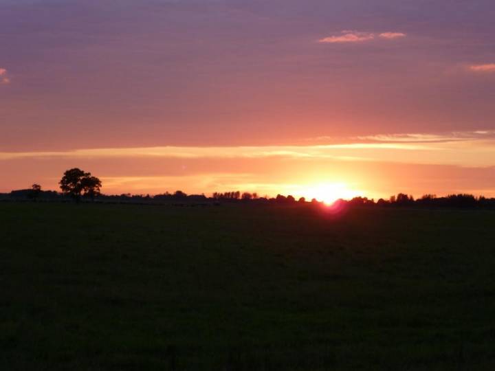  Olszany, agromiasteczko   (Olszany sielsowiet  ). Дарога на 