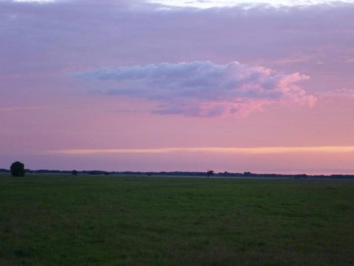  Olszany, agrotown (Alšanski rural council). Дарога на 
