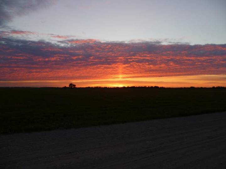  Ольшаны, агрогородок (Ольшанский сельсовет). Дарога на 