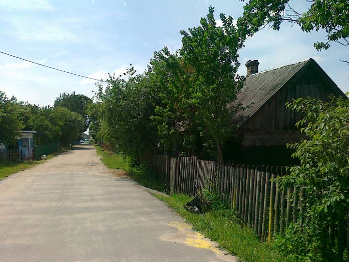  Вишневец, деревня (Коптевский сельсовет). 