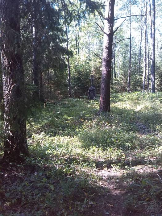  Berezno, folwark   (Wyszedska wołość  ). Памятник А.И.Ренгартену и его жене издалека