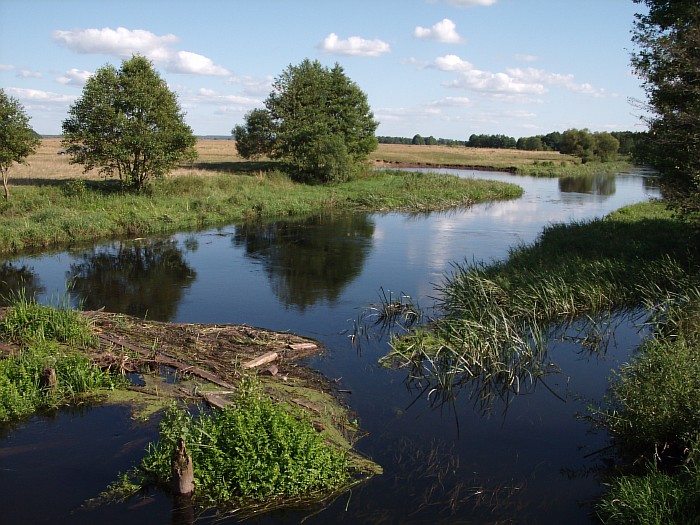  Obryń Wielki, village (Eremichskiy selsovet). 