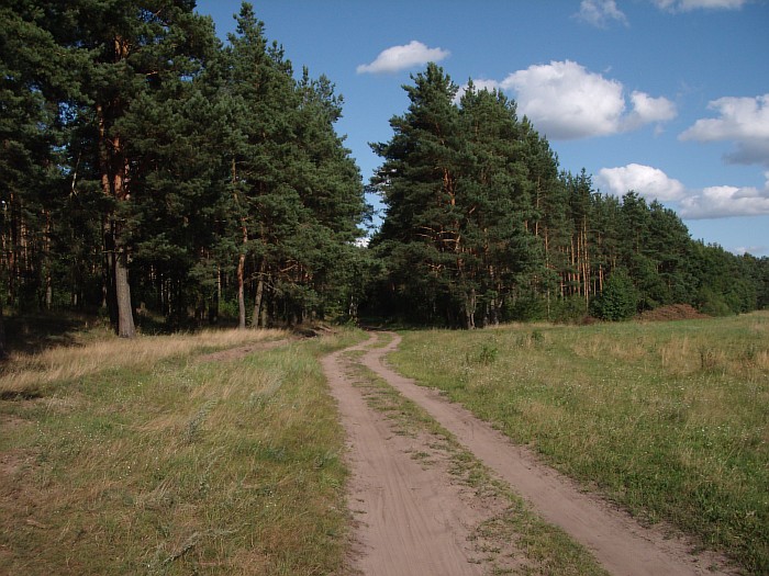  Obryń Wielki, village (Eremichskiy selsovet). 