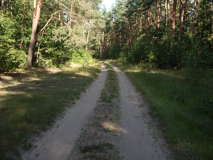  Obryń Wielki, village (Eremichskiy selsovet). 