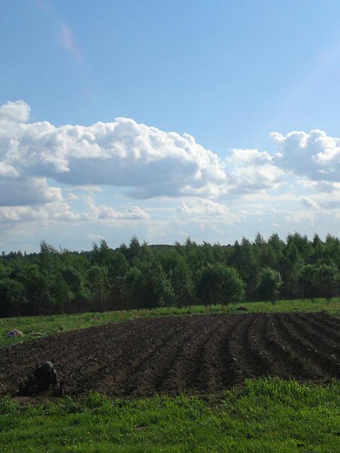  Korniaszowo, wieś   (Illińska wołość  ). 