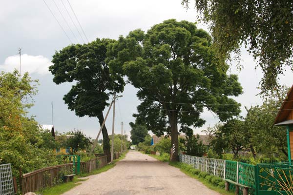  Быкевичи, деревня (Циринский сельсовет). 