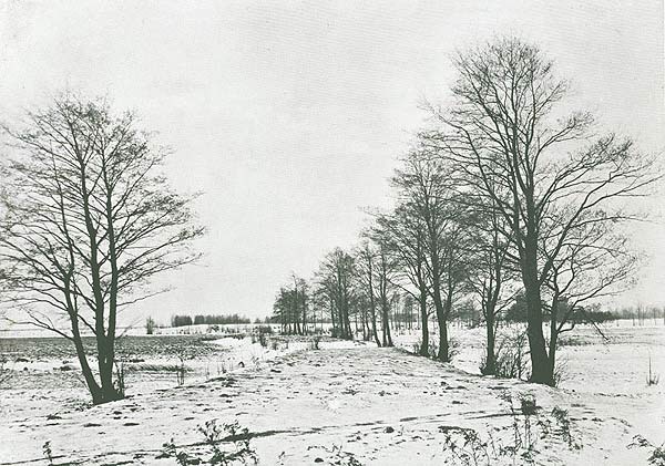  Czyżewszczyzna, village (Leninski rural council). Плаціна на р. Трасцяніца<br>здымак І. Аткінсона 1899 г.