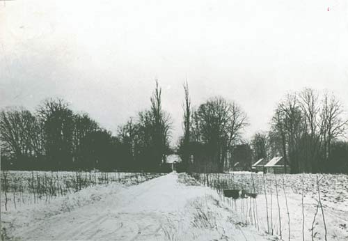  Gubernja II, folwark   (Błoty gmina wiejska  ). Дарога да сядзібы<br>здымак І. Аткінсона 1899 г.
