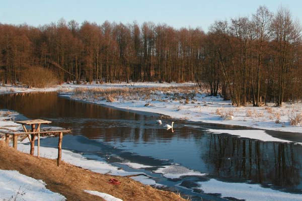  Jaroszuki, zaścianek (Nowa Mysz gmina wiejska  ). r. Myszanka w pobliżu Jaroszukow (2010-03-08)