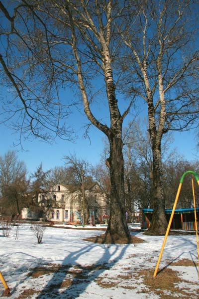  Korzeniowszczyzna, village (Navasiołkaŭski rural council). Dwór, widok od południa (2010-03-08)