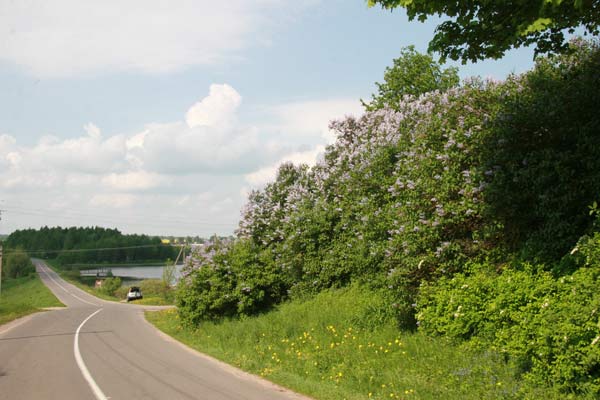  Люцінка Малая, фальварак (Першаі вясковая гміна). Дарога праз Малую Люцінку