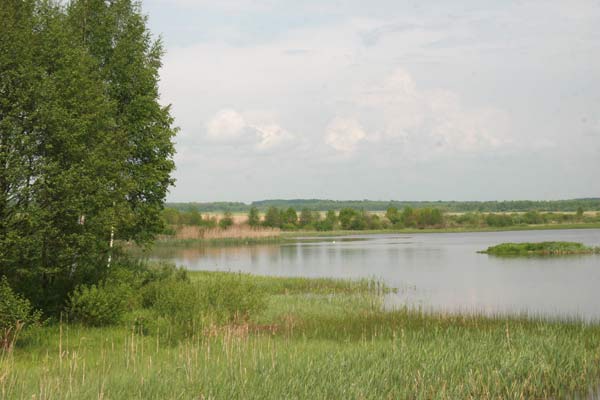  Люцінка Малая, фальварак (Першаі вясковая гміна). Стаў