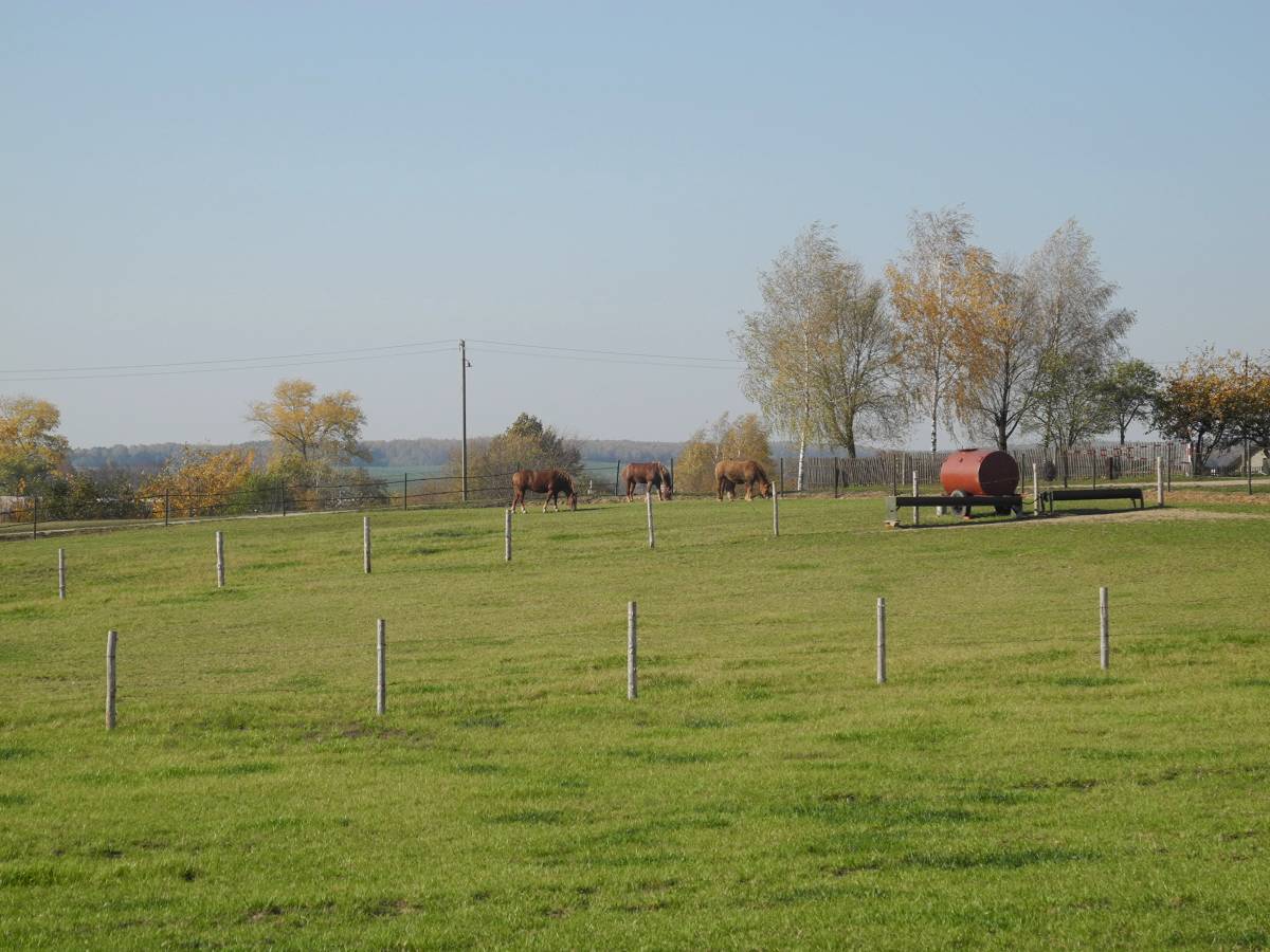  Baranowo, wieś   (Kwasówka sielsowiet  ). Д.Бараново