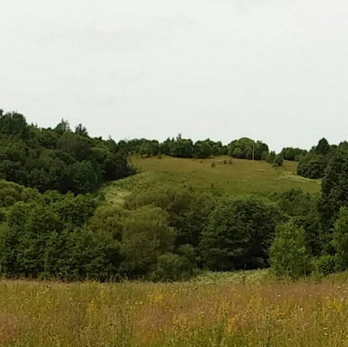  Puzyrevo, folwark (Moshkovskaya volost). По сохранившейся информации панский фальварак располагался на этой горке.