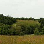 З альбому здымкаў з сучаснымі відамі