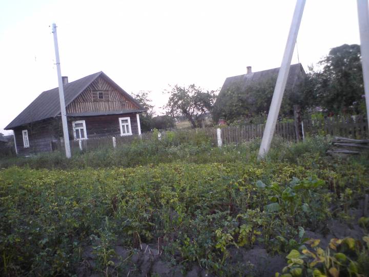 Баяры, вёска (Навадворскі сельсавет). 