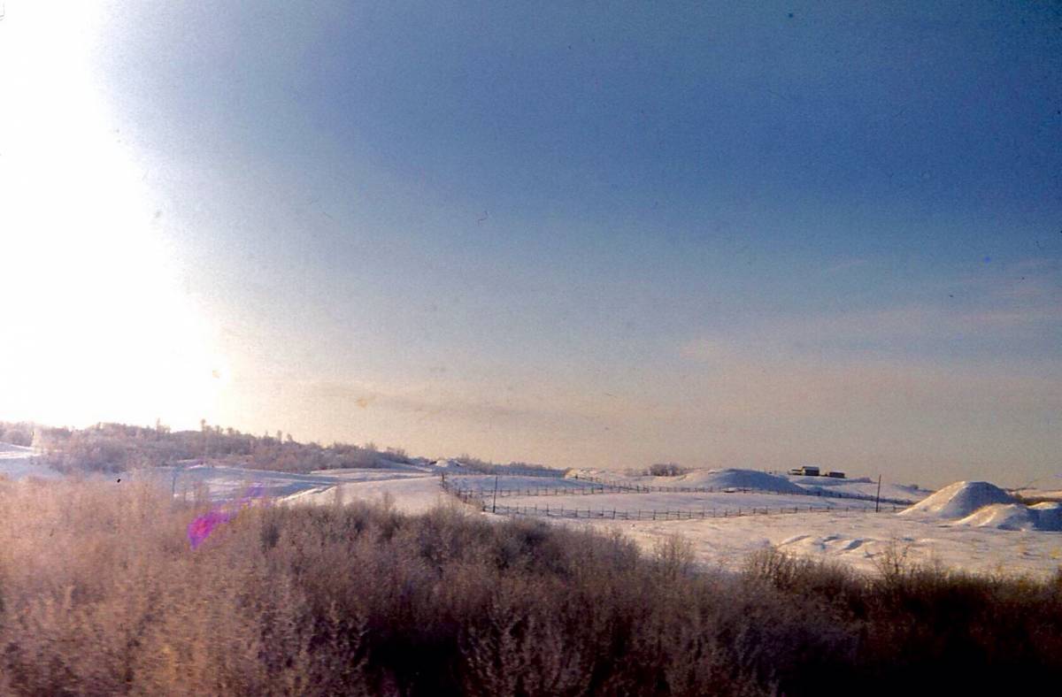  Radyń, wieś   (Straličaŭski sielsowiet  ). 