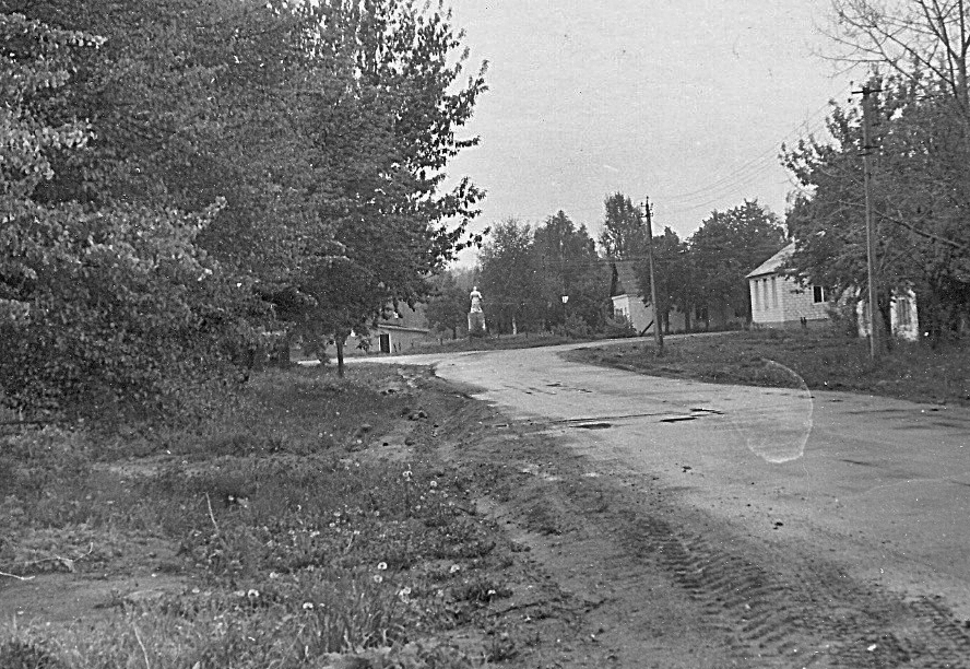  Savichi, village (Čamiaryski rural council). Улица в деревне Савичи
