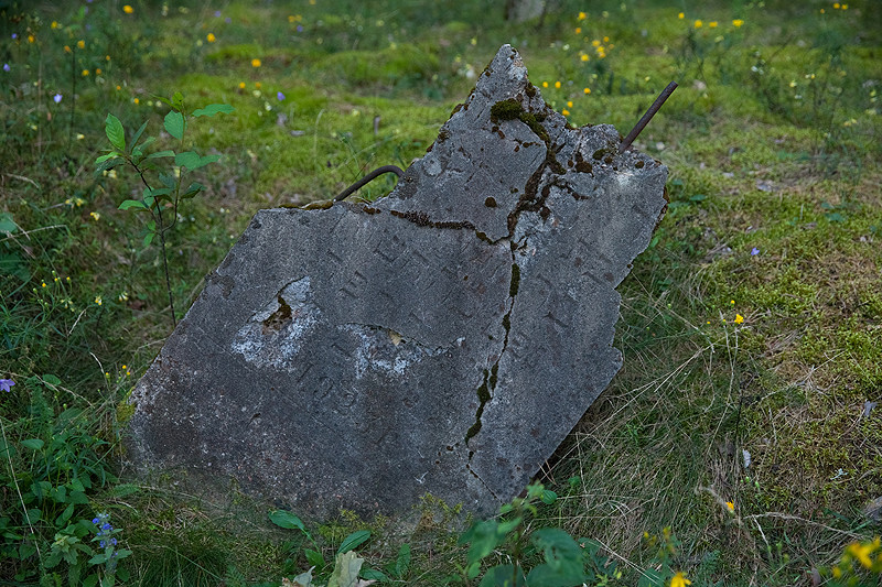  Skrigalov, village (Skryhałaŭski rural council). Еврейское кладбище в Скрыгалове