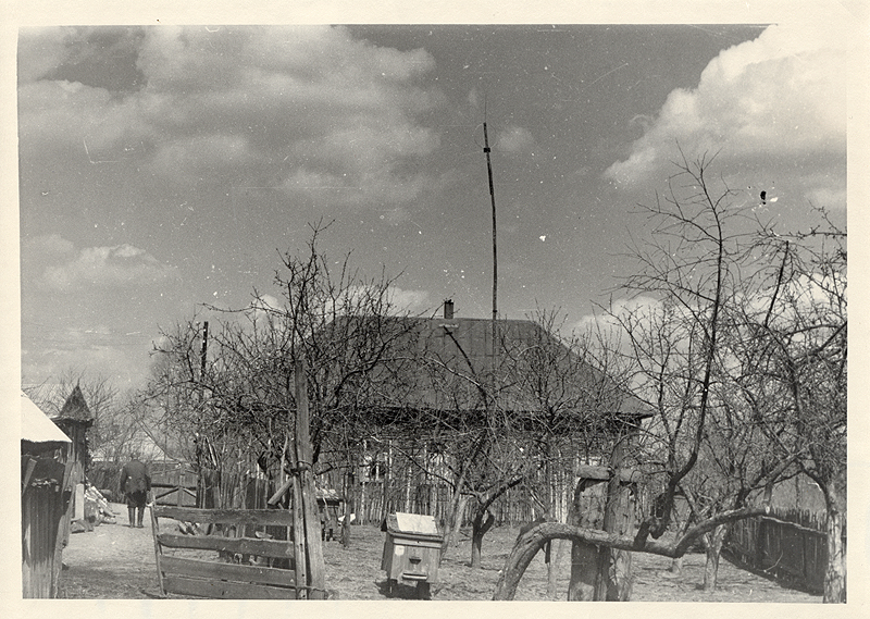  Vyazhishche, village (Narovlyanskaya volost). Вяжище
