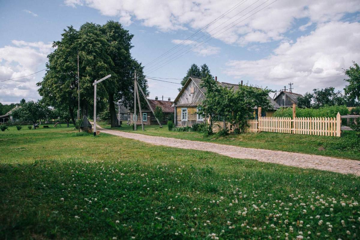  Тиневичи, деревня (Райцевский сельсовет). 