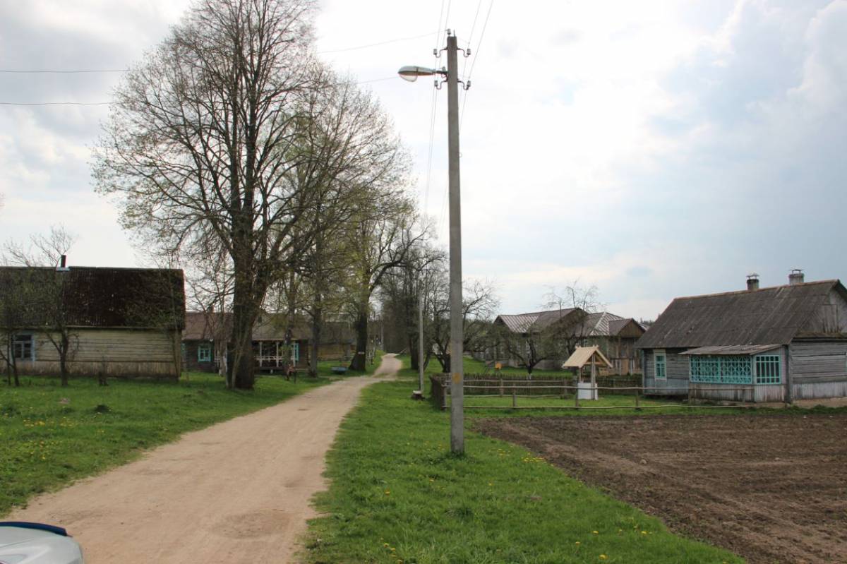  Цінявічы, вёска (Райцаўскі сельсавет). 