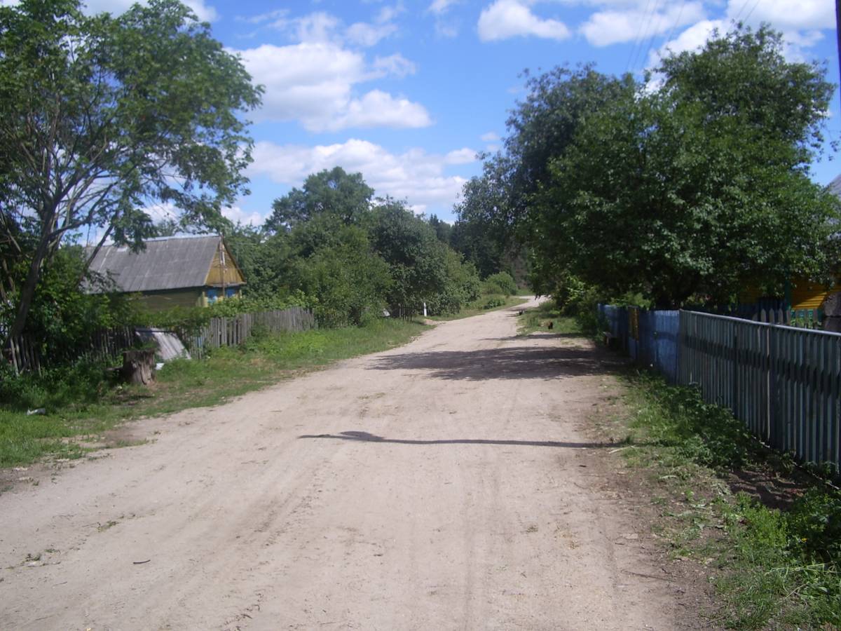  Микуличи, деревня (Городищенский сельсовет). 