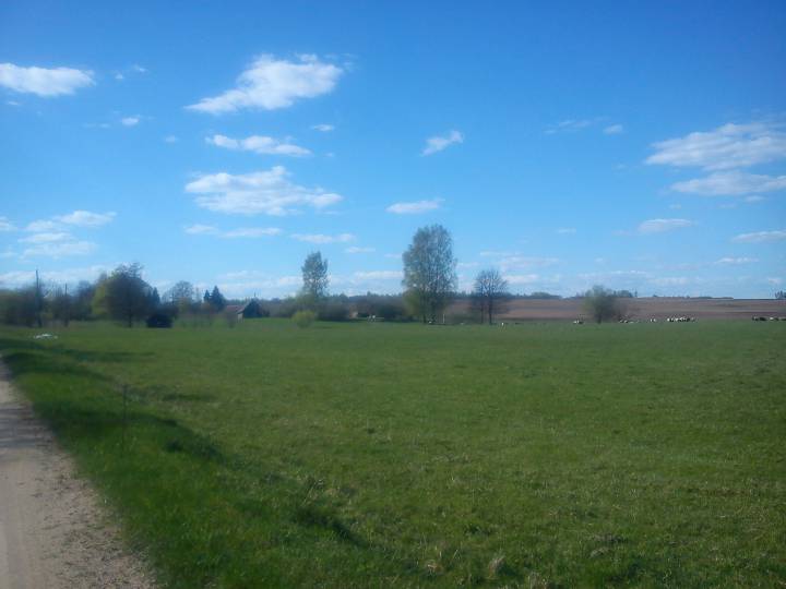  Arcimowicze, wieś   (Dalekie sielsowiet  ). 