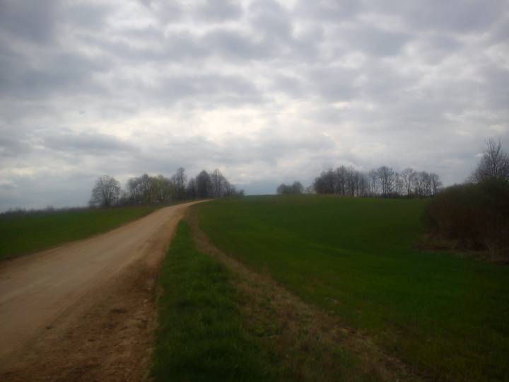  Domaszki, zaścianek (Opsa rural commune). 