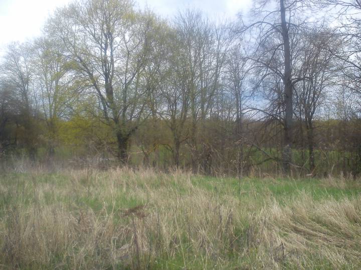  Домашки, застенок (Опса сельская гмина). 