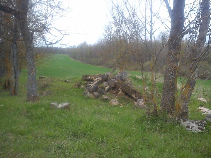  Домашки, застенок (Опса сельская гмина). 