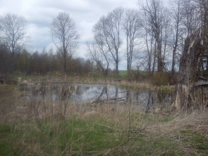  Domaszki, zaścianek (Opsa rural commune). 