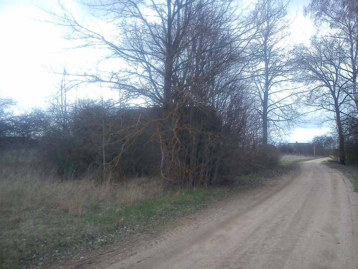  Новадварышча, вёска (Далёкаўскі сельсавет). 
