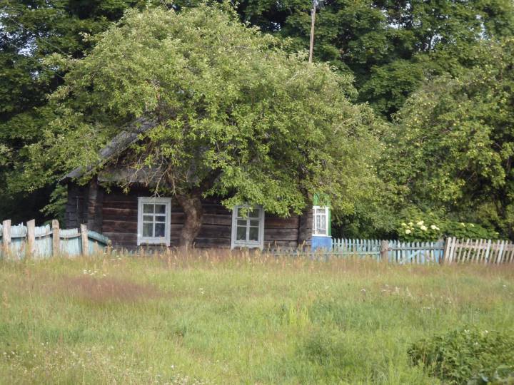  Сасонишки, хутор (Ворнянский сельсовет). 