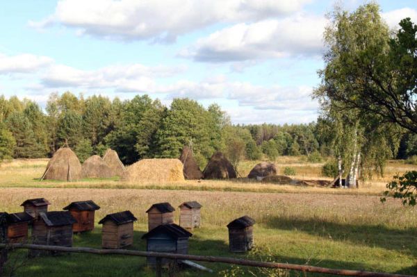  Dziurany, wieś   (Traby sielsowiet  ). Pszczele osiedle