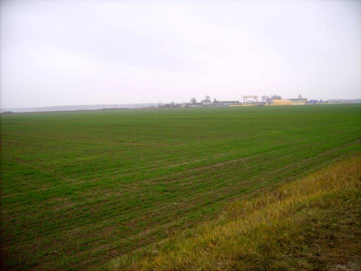  Saŭhuci, village (Ivyevskiy rural council). Bliska okolica Sauguć.